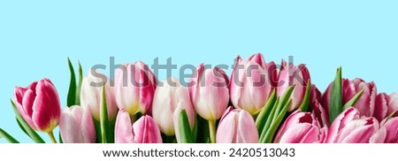 Greeting card, banner, website image, desktop wallpaper, frame, and blank template. Isolated tulip flowers on a blue background, suitable for Valentine's Day, weddings, birthday invitations, and Inter