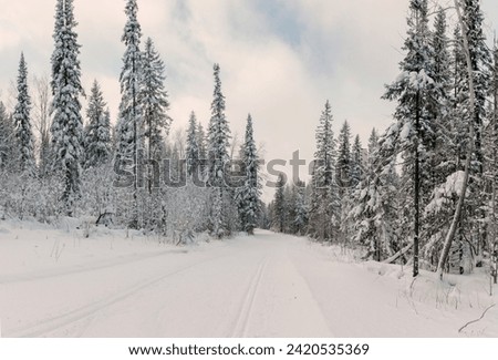 Beautiful natural environment with road for traveling, scenic picture of winter season forest with frost and snow.