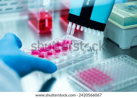 cell culture in the well plate, bioengineering laboratory Royalty-Free Stock Photo #2420566067