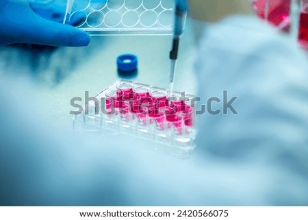 cell culture in the well plate, bioengineering laboratory Royalty-Free Stock Photo #2420566075