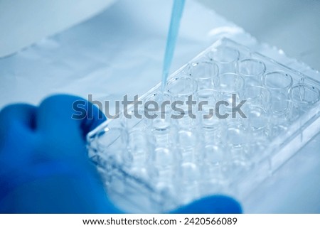 cell culture in the well plate, bioengineering laboratory Royalty-Free Stock Photo #2420566089