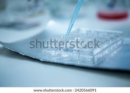 cell culture in the well plate, bioengineering laboratory Royalty-Free Stock Photo #2420566091