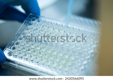 cell culture in the well plate, bioengineering laboratory