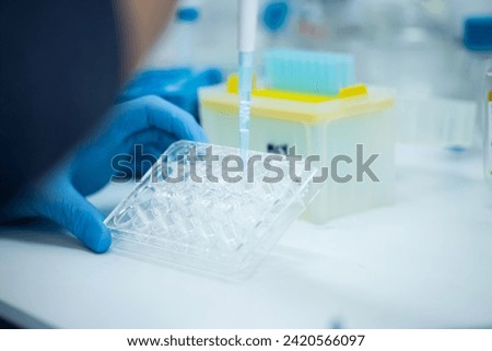 cell culture in the well plate, bioengineering laboratory Royalty-Free Stock Photo #2420566097
