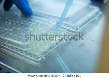 cell culture in the well plate, bioengineering laboratory Royalty-Free Stock Photo #2420566101