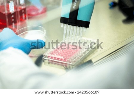 cell culture in the well plate, bioengineering laboratory Royalty-Free Stock Photo #2420566109