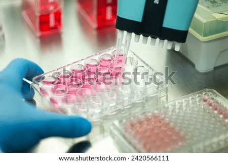 cell culture in the well plate, bioengineering laboratory Royalty-Free Stock Photo #2420566111