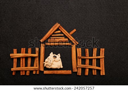 Cat in cinnamon`s house on black wool background