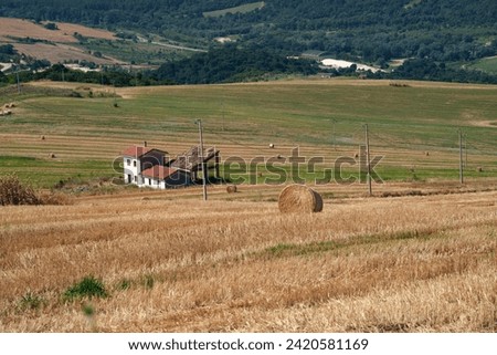 Country landscape near Melfi, in Potenza province, Basilicata, Italy