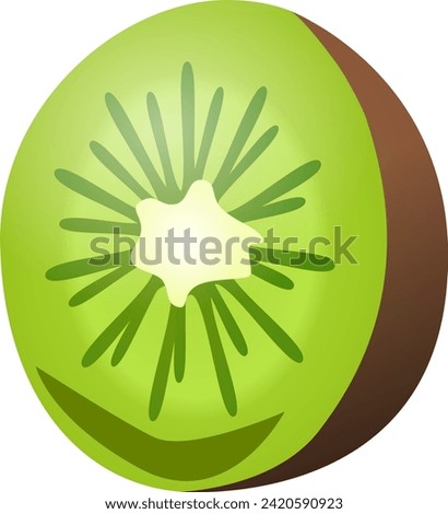 Kiwi fruit isolated on a white background. Vector illustration.