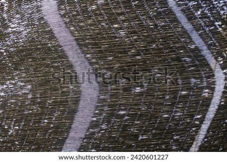 Background texture of bird net with cloud and sky, black mesh, plastic, nature wallpaper sky and trees