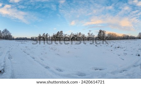Picture of a snow-covered meadow in winter in the morning light at sunrise