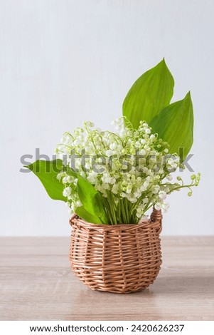 May Day greeting card template; Bouquet of lilies-of-the-valley on a wooden table and white background