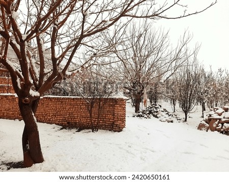 This is a picture of a snowy day around Shahrman