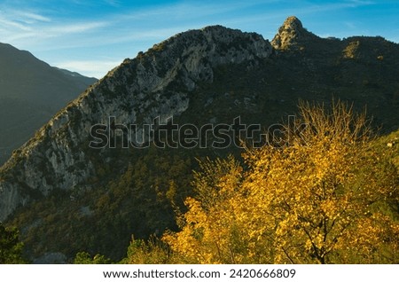 Menton region, Alpes Maritimes, France