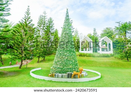 Christmas tree in garden,Festive image in holiday,Merry Christmas and Happy New Year.