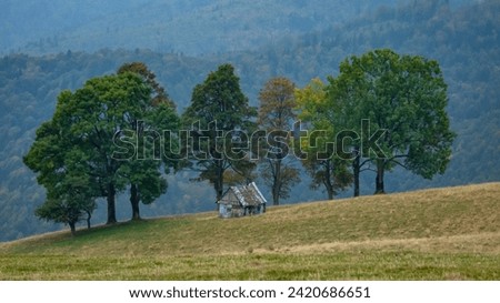 A wooden sheepfold in a beautiful pasture, surrounded by beech forests. Autumn season. The cabin is located in a glade surrounded by autumn colored trees. Paltinis, Carpathia, Romania. Royalty-Free Stock Photo #2420686651