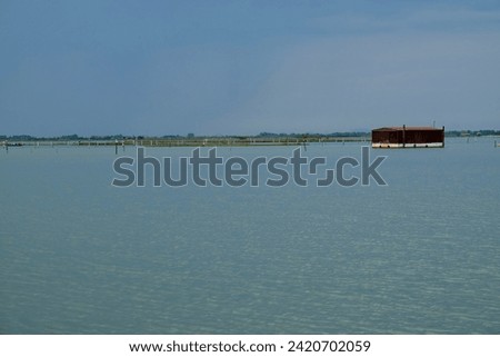 Chioggia lagoon sea and nature