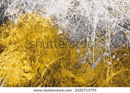 Grass doused with white and yellow paint, road marking paint poured on the side of the road, nature toxic pollution Royalty-Free Stock Photo #2420713795