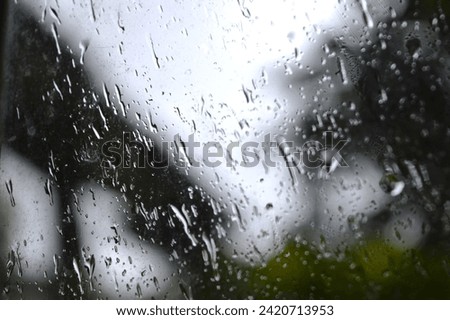 The rain outside just makes everything feel so cozy and peaceful. I could sit by the window all day listening to the gentle pitter-patter.