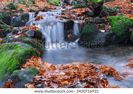 Waterfall in a beech forest in autumn. Eastern Carpathians.