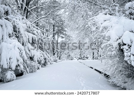 Snowy winter landscape scene, with footprints on neighborhood street. Royalty-Free Stock Photo #2420717807
