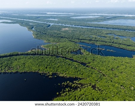 Beautiful aerial view to green amazon rainforest Anavilhanas islands