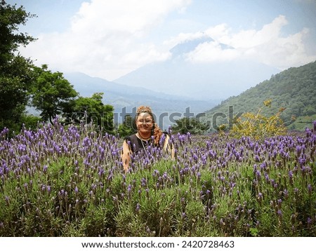 Lavender field at the foot of the Agua volcano in Antigua Guatemala, Guatemala.