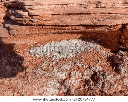 Biological soil crusts, sometimes called cryptobiotic soil crusts, are an important part of arid and semi-arid ecosystems Royalty-Free Stock Photo #2420734777