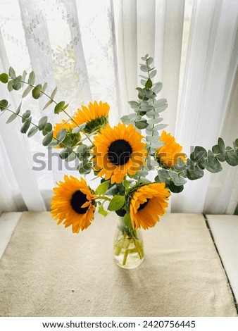 Huge sunflower arrangement for a summer wedding. Vibrant yellow petals and eucalyptus leaves with fragrant aroma