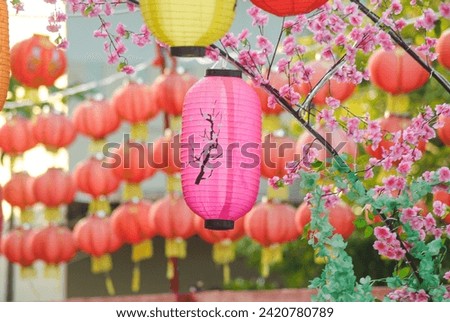 the beauty of lanterns and cherry blossom replicas in the temple