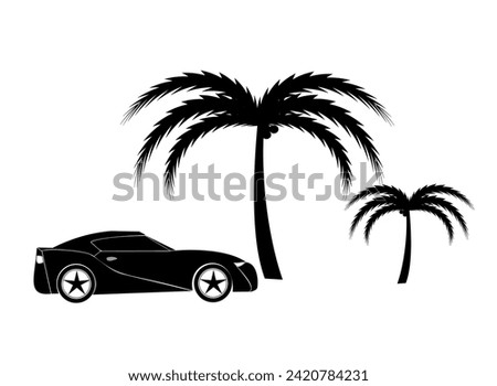 silhouette of palm tree and car