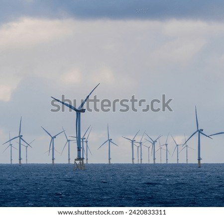 Offshore and Onshore Windmill farm Westermeerwind, Windmill park in the Netherlands with huge large wind turbines, group of windmills for renewable electric energy Royalty-Free Stock Photo #2420833311