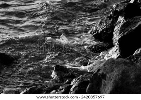 Waves Seashore Black White Photo