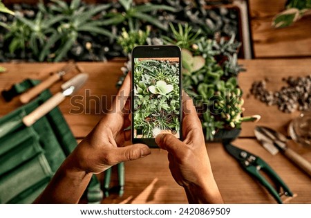 Gadgets for running business. Top view of female hands holding smartphone with photo of green domestic flowers on screen. African florist taking picture of store assortment for selling online.