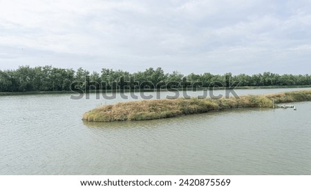 Earthen embankment in a large pond which is a fish breeding ground for the villagers Surrounded by rich nature The surface of the water is rough due to the uneven wind. You can see the transparent sky