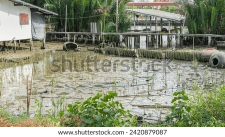 Picture of planting mangrove forests In a place close to the homes of villagers which is located near Saphan Daeng with a galvanized sheet separating it