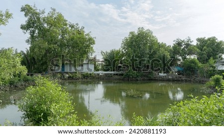 A picture of a house located near a water source causing the need to raise some of the basement up high Because in front of the house is a flowing stream. Around the house there is quite a lot of tree