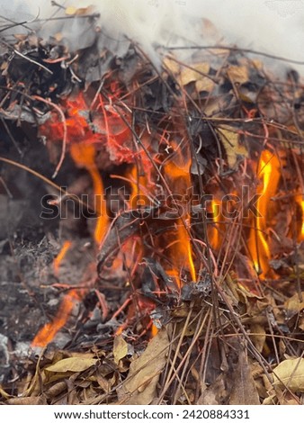 Its a fire seen in a village, people in villages often enlighten the fire in winters and this picture has been clicked at village side.