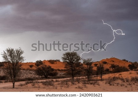 Dramatic lightning strike over the red sand dunes of the Kalahari desert