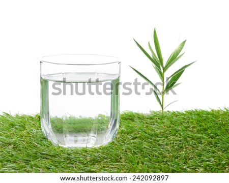 glass of water on a field isolate on white