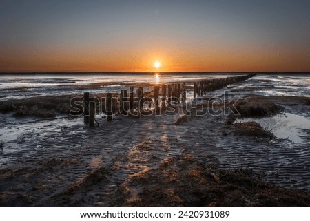 A captivating photo of the Wadden Sea in Denmark, where the interplay of tides unveils a mesmerizing landscape. Vast mudflats and dynamic coastal beauty, a testament to nature's ever-changing artistry