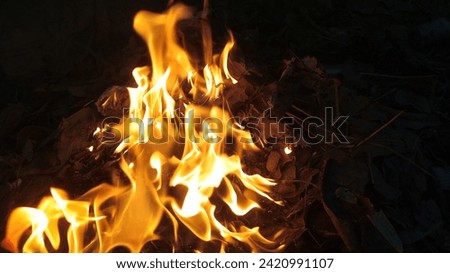 Natural fire images bright burn