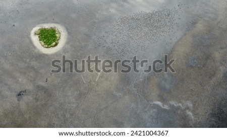 Aerial view capturing the scenic beauty of wild ducks gracefully navigating the waters surrounding a lush green island, a harmonious depiction of nature's untouched splendor.
