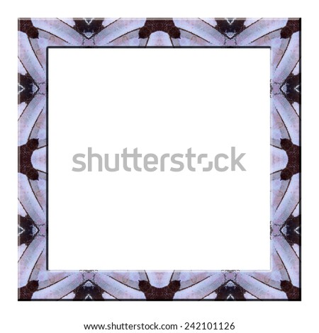 Art of frame from butterfly wing isolated on white background