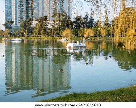   A boat in the shape of a swan on a city lake. A beautiful park at the resort. Lake for walks.  