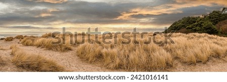Ocean shoreline beach grass and beautiful cloudy sky in panoramic format. No data licensing. Royalty-Free Stock Photo #2421016141
