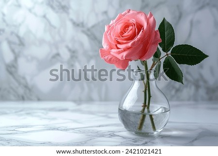 An elegant pink rose stands alone in a clear glass vase, set against a white marble backdrop, symbolizing simplicity and grace. Royalty-Free Stock Photo #2421021421