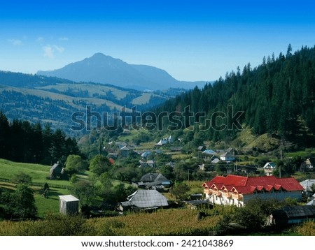 village in Romania. Petru Voda, summer scene