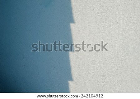 Shadow black and white on the wall.
